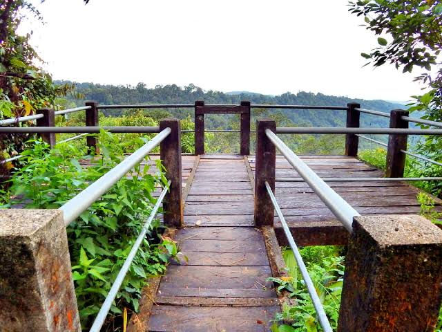 Canopy Bridge Bodogol 